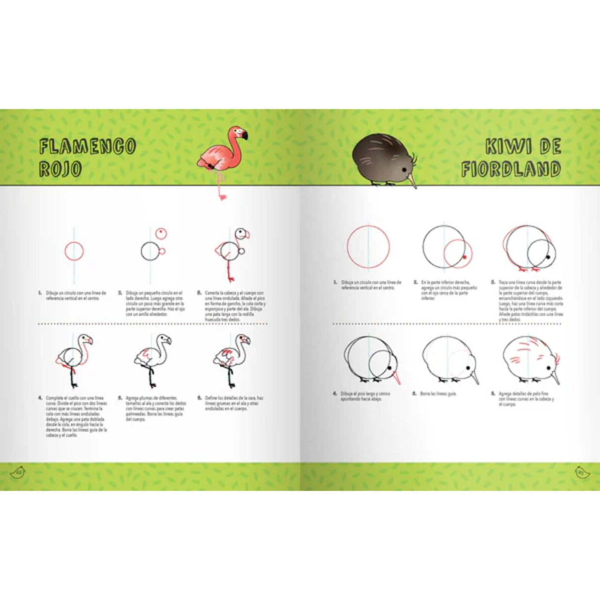 Aprende a Dibujar - Pajaritos Kawaii - Jennifer Budrock