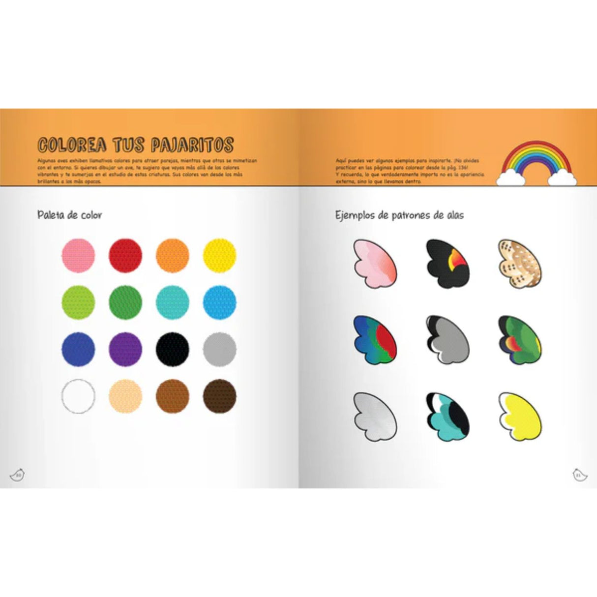 Aprende a Dibujar - Pajaritos Kawaii - Jennifer Budrock