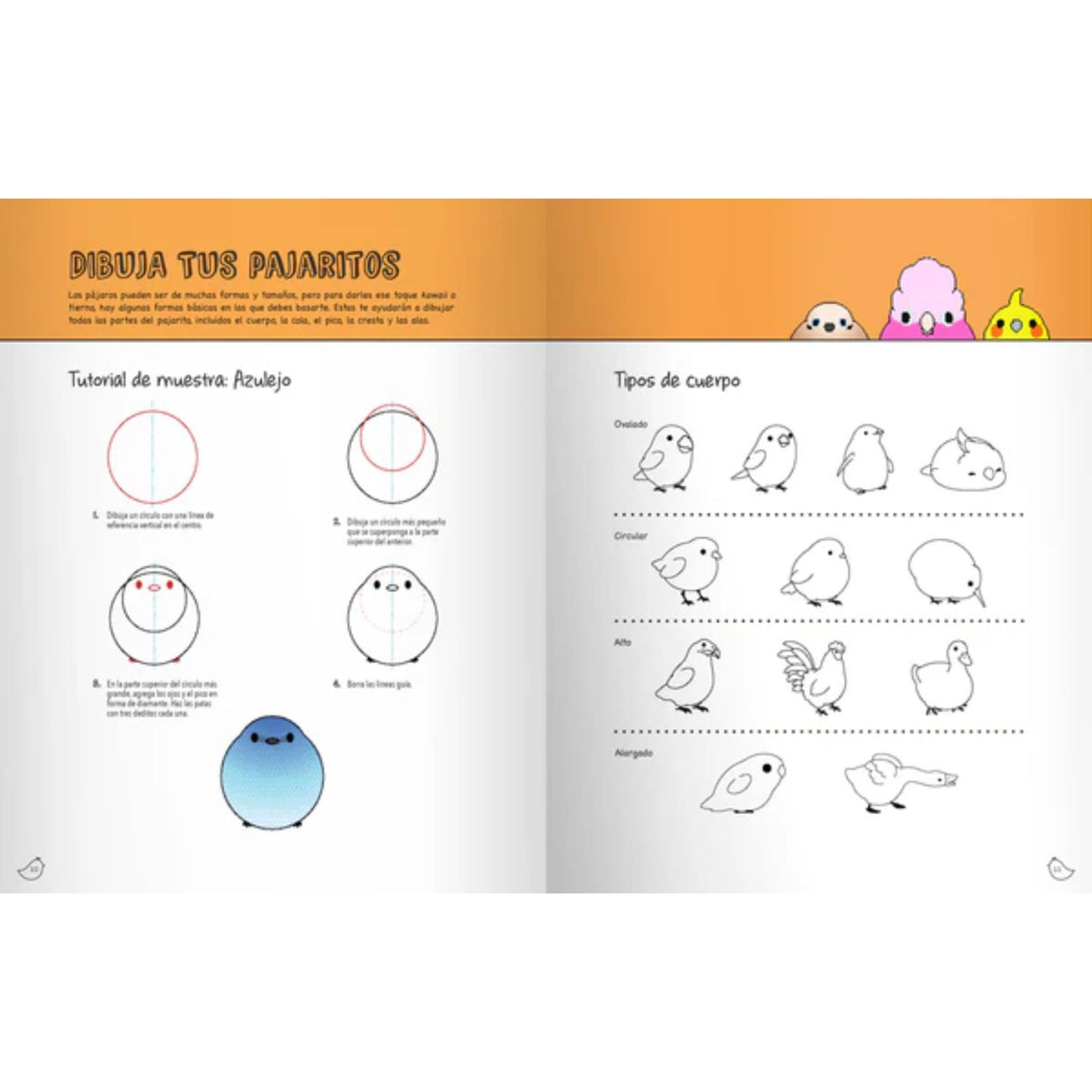 Aprende a Dibujar - Pajaritos Kawaii - Jennifer Budrock