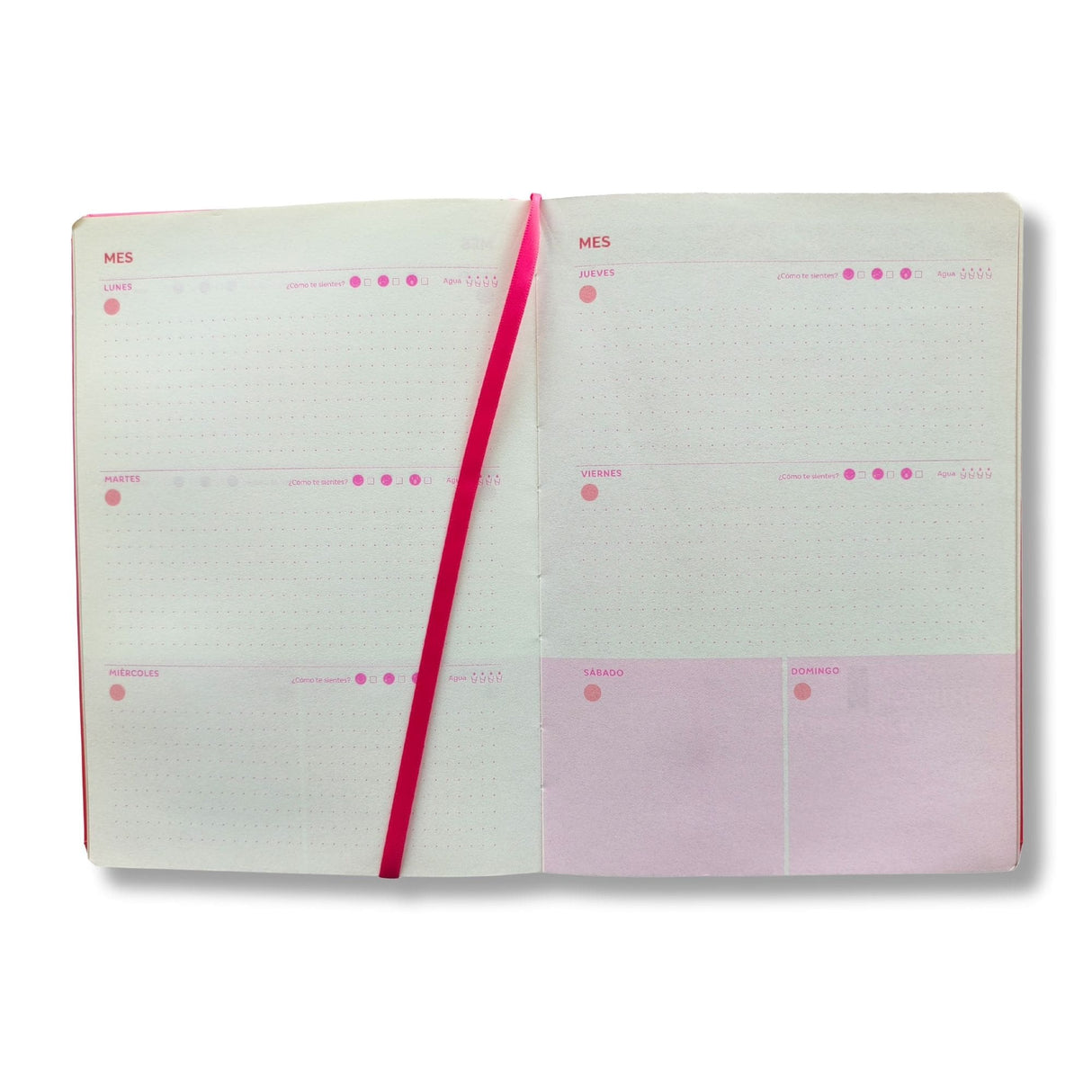 Artel - Planner 12 Meses Empastado Rosa Degradé