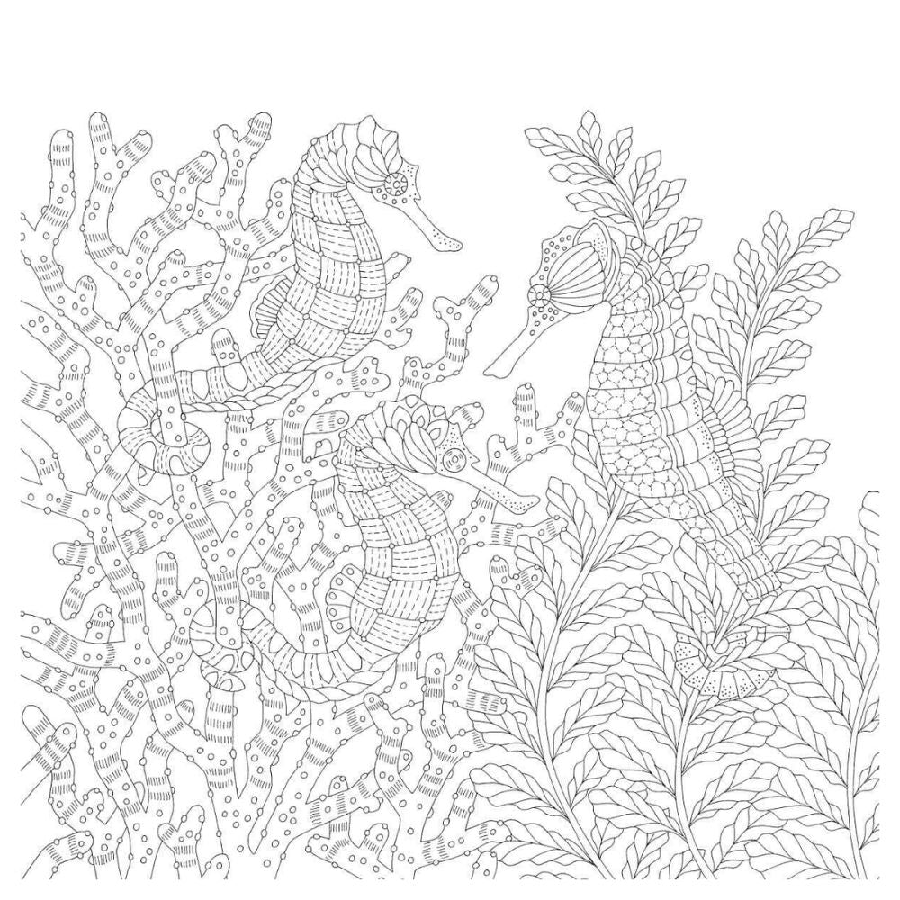 Aventuras Animales - Millie Marotta