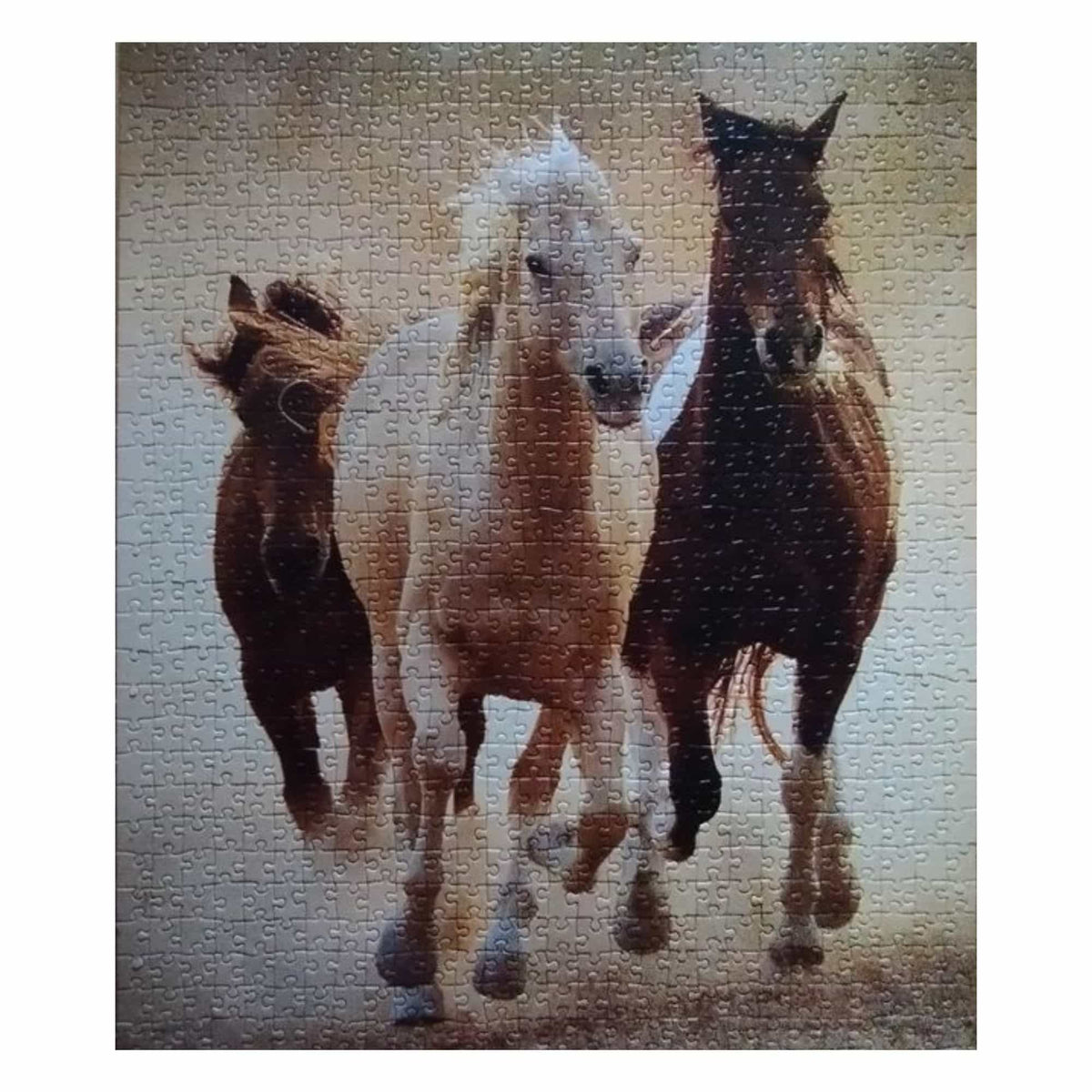 Clementoni - Puzzle 1000 Piezas Compact Running Horses High Quality Collection