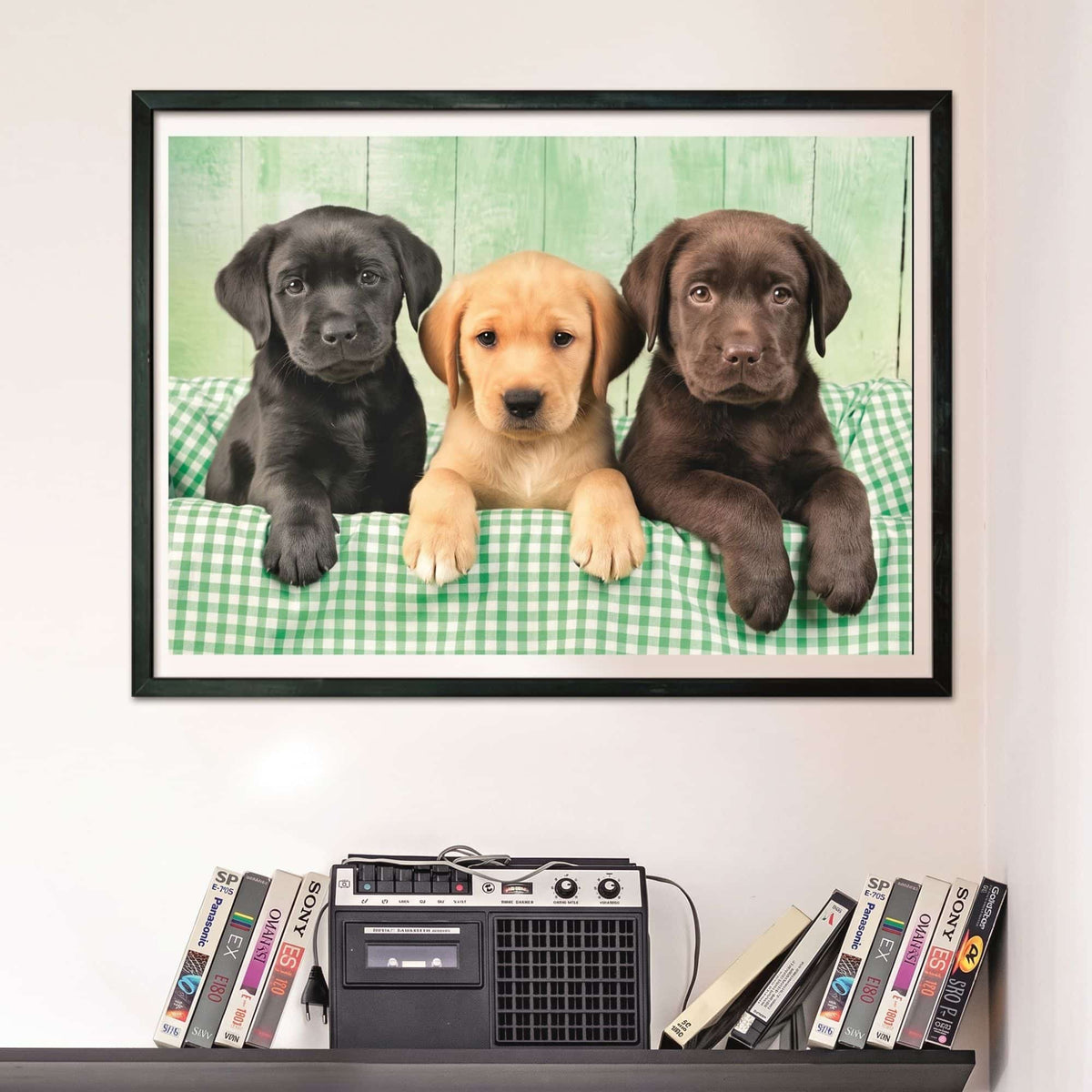 Clementoni - Puzzle 1000 Piezas Compact Three Labs High Quality Collection