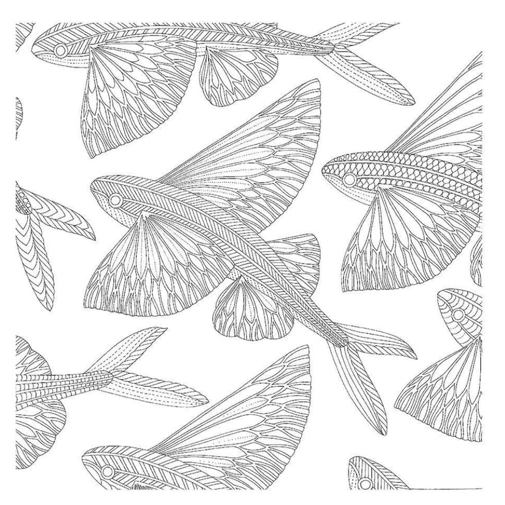 Criaturas Curiosas: Miniaturas para Colorear - Millie Marotta