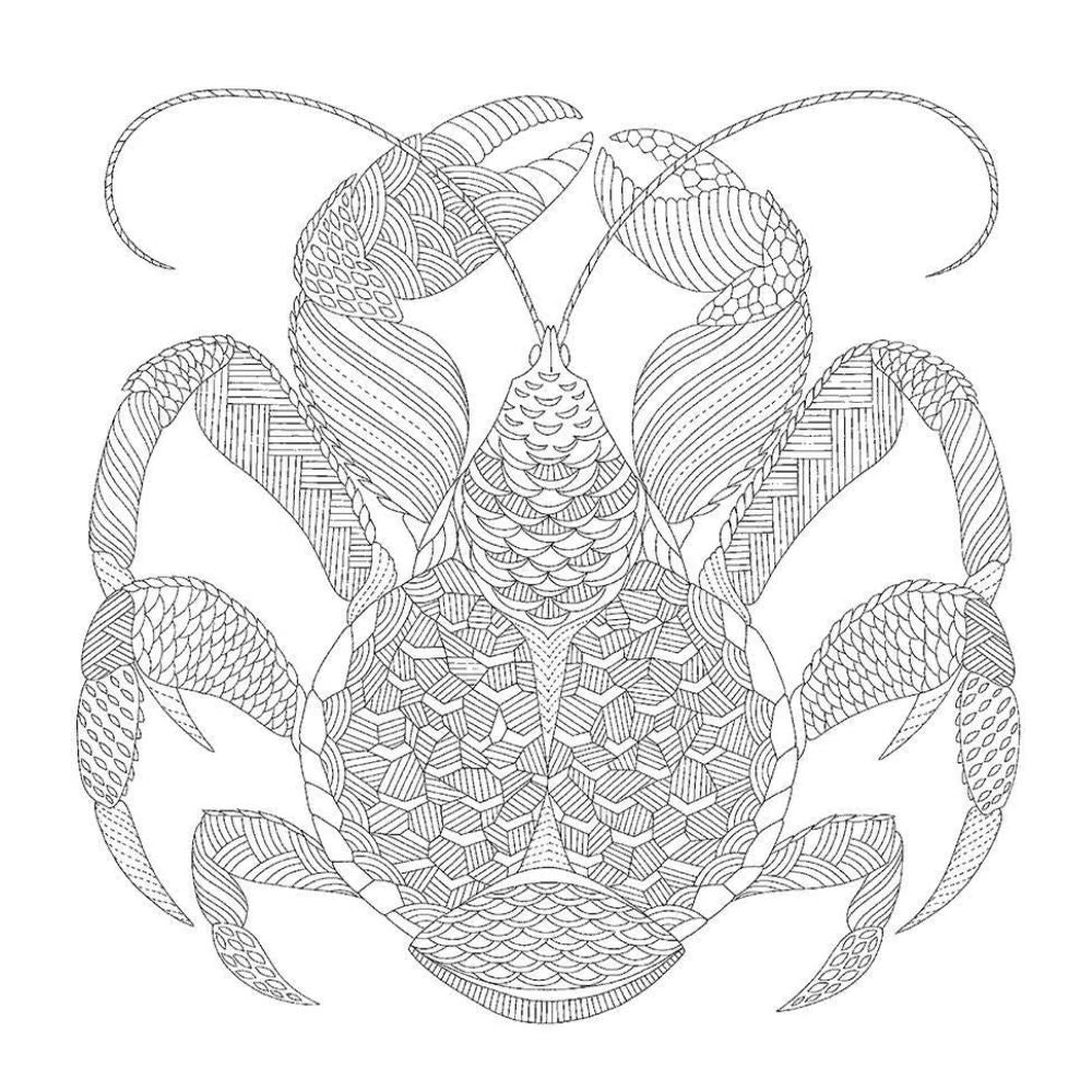 Criaturas Curiosas: Miniaturas para Colorear - Millie Marotta