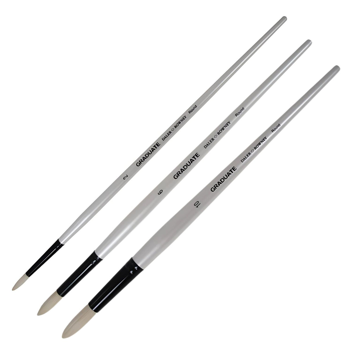 Daler Rowney Graduate - Pinceles Round Cerda Mango Largo