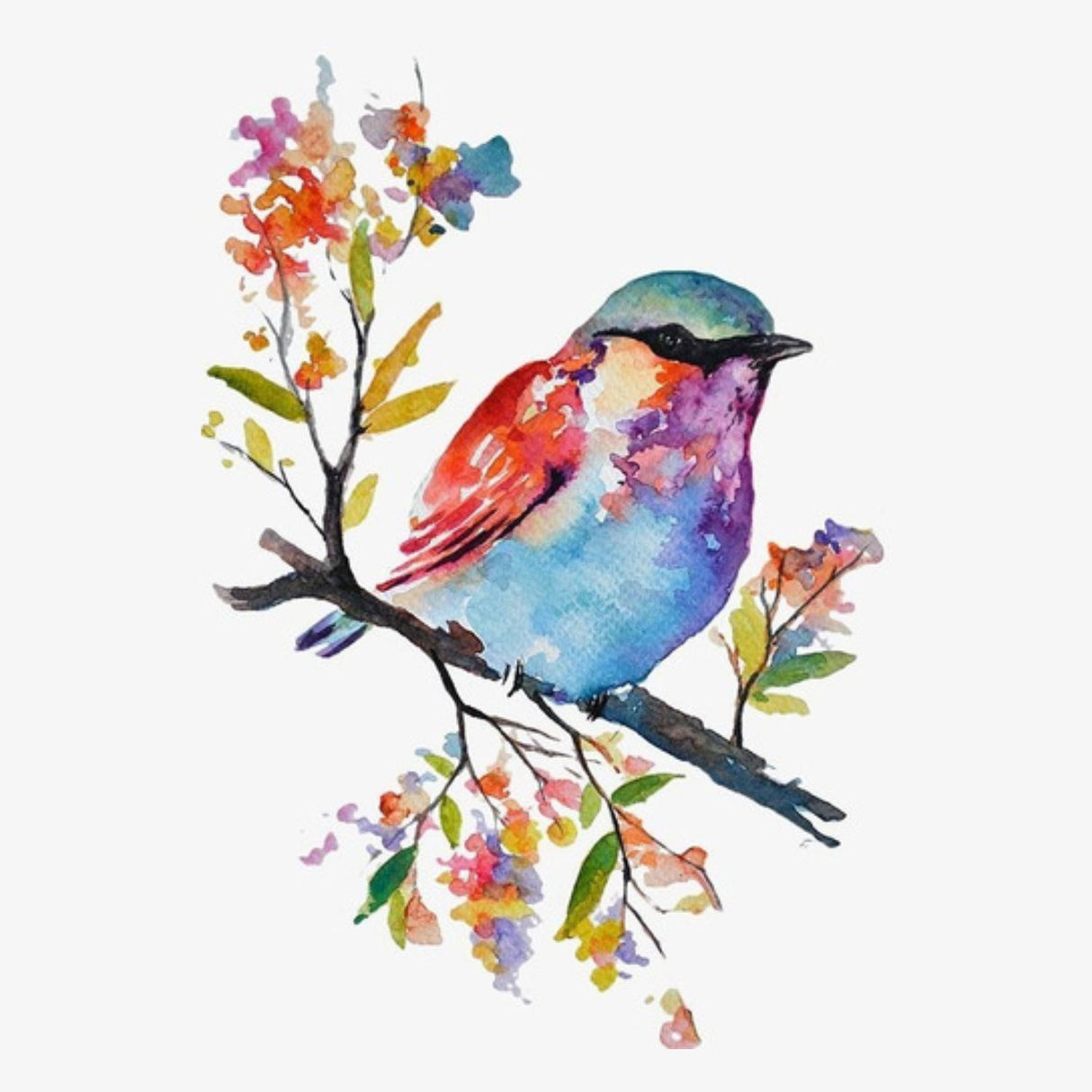 Daler Rowney Simply - Set 6 Acuarelas 12 ml