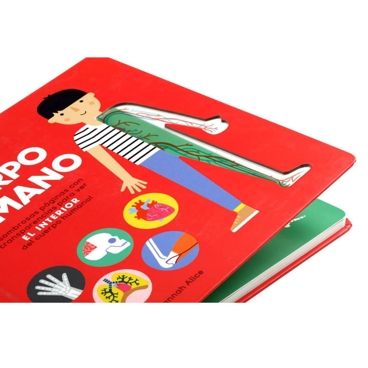 El Cuerpo Humano - Hannah Alice