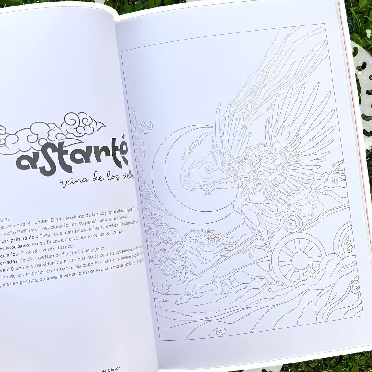 Eternas - Carnero de Metal