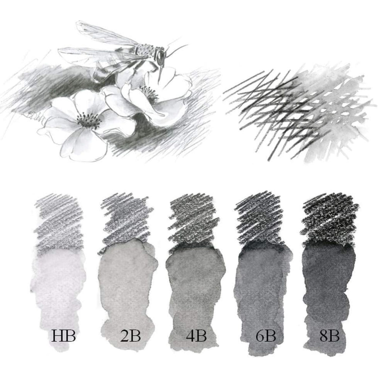 Faber Castell Graphite Aquarelle - Lápices Grafito Acuarelables
