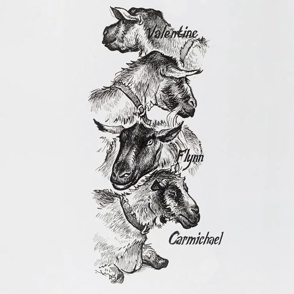 Faber-Castell Pitt - Set 6 Tiralíneas Negro Surtidos