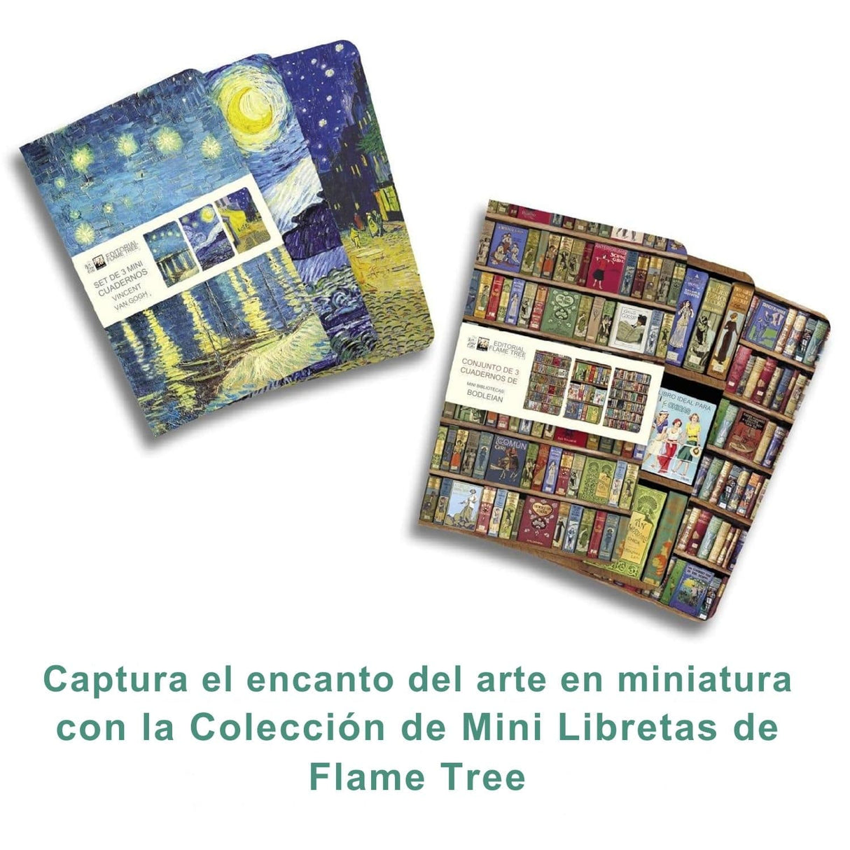 Flame Tree - Set 3 Libretas Mini, Líneas y Lisa Vincent Van Gogh