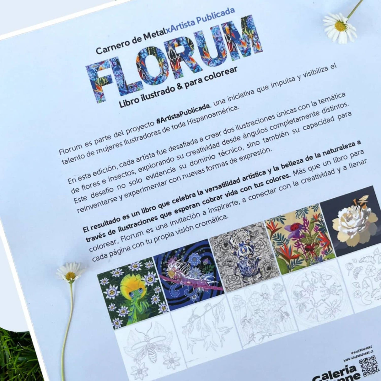 Florum - Carnero de Metal