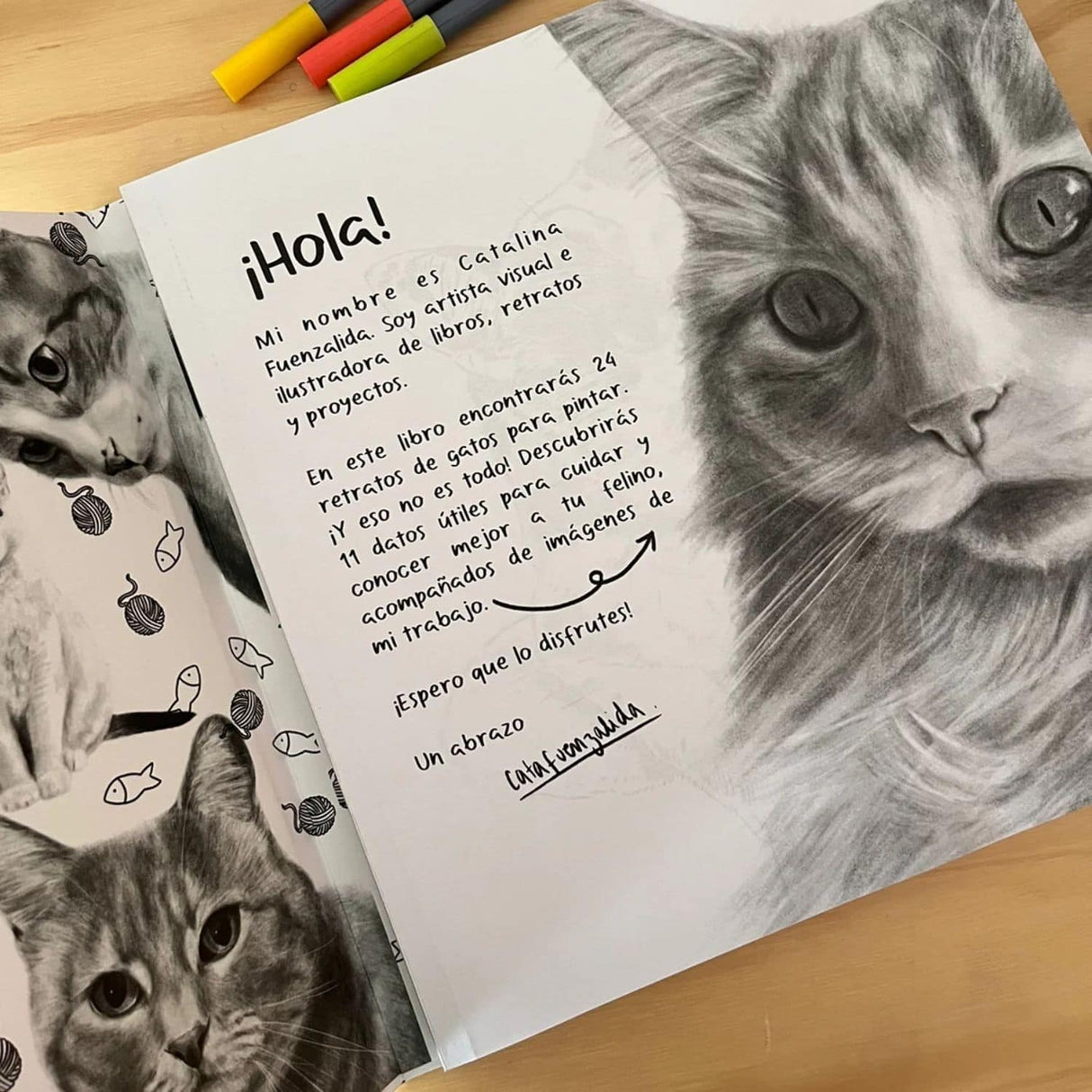 Gatos - Cata Fuenzalida