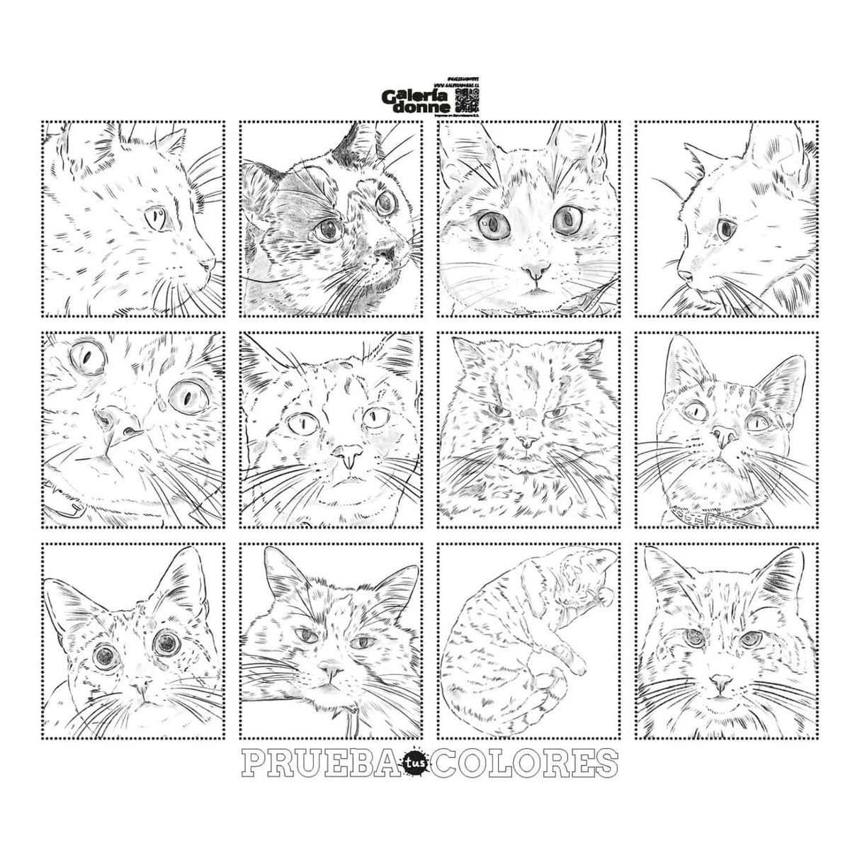 Gatos - Cata Fuenzalida