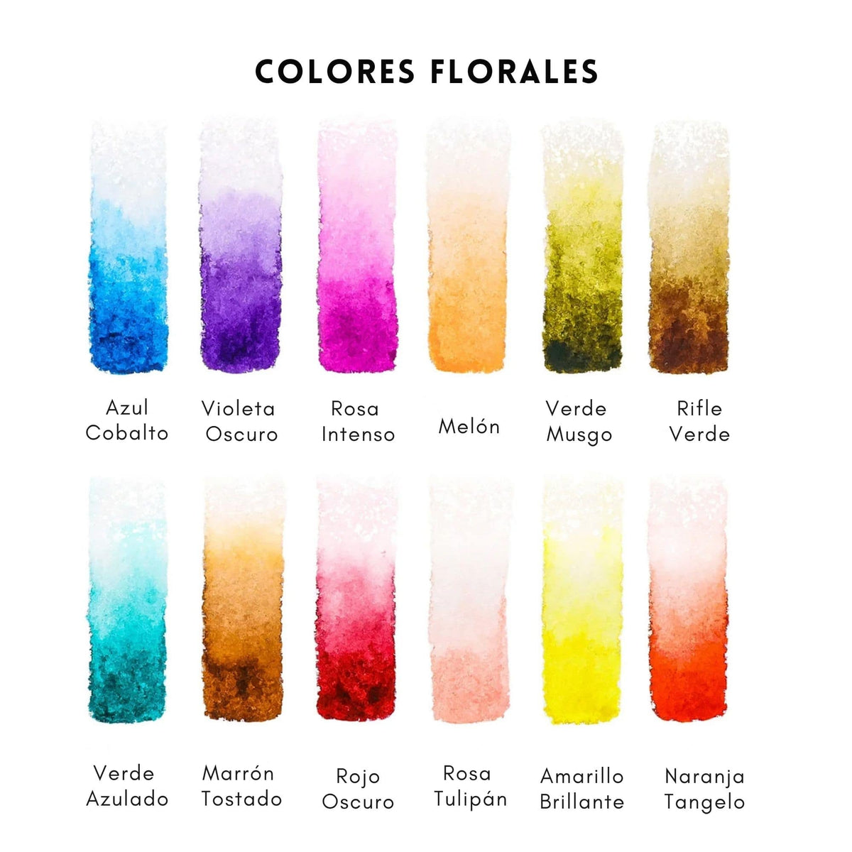 Grabie Coloring Club - Kit Acuarelas Floral Libreta y Libro