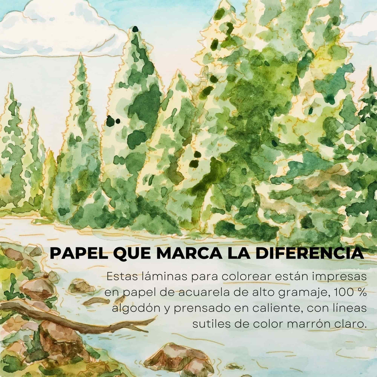 Grabie Coloring Club - Kit Acuarelas Forest Libreta y Libro