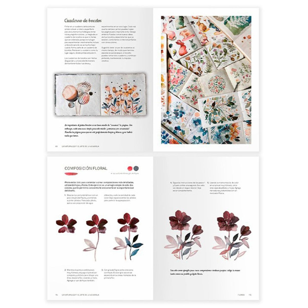 La Naturaleza y el Arte de la Acuarela - Inga Buividavice