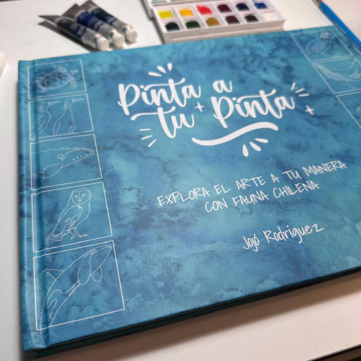 Pinta a tu Pinta - Jojó Rodríguez
