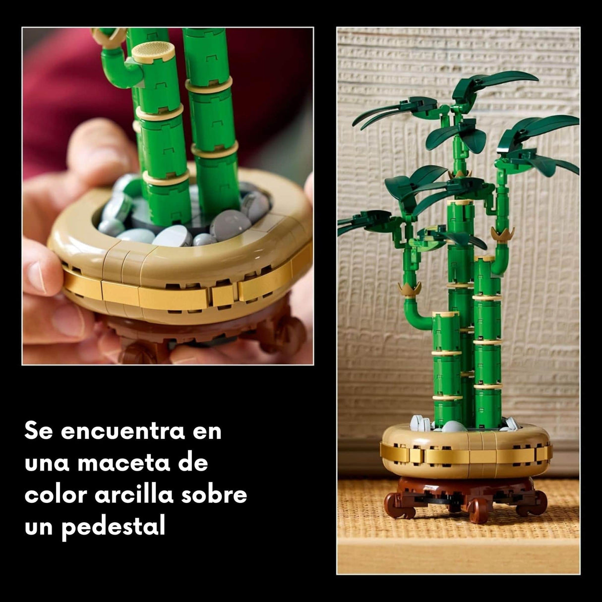 Lego Botanicals - Juego de Bloques Bambú de la Suerte