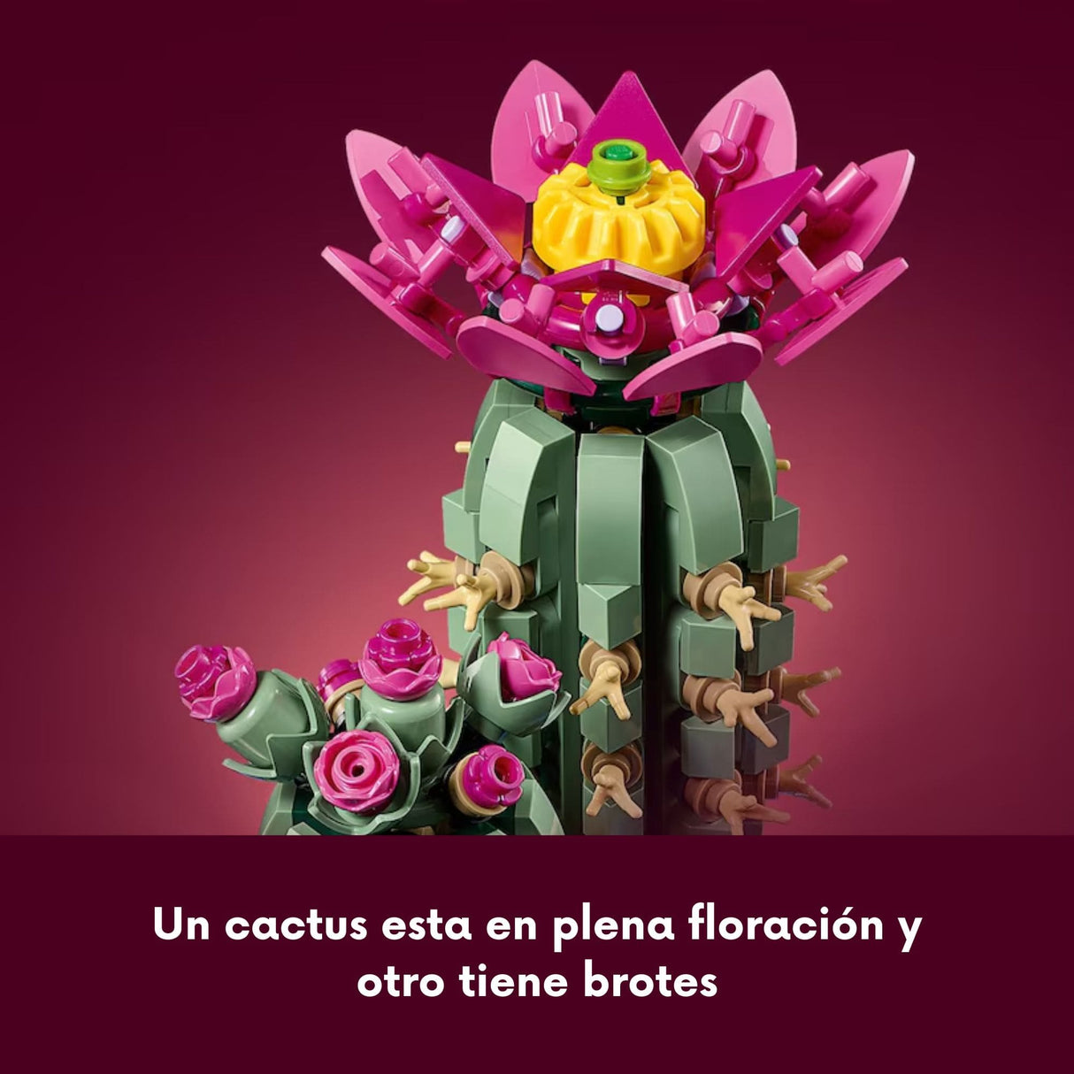 Lego Botanicals - Juego de Bloques Cactus en Flor