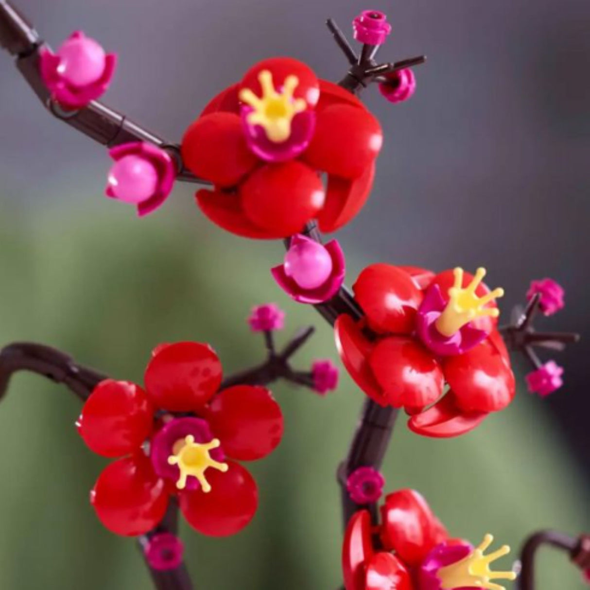 Lego Botanicals - Juego de Bloques Flor de Ciruelo