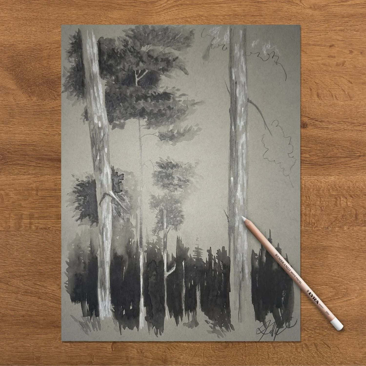 Lyra Rembrandt - Lápiz Pastel Blanco