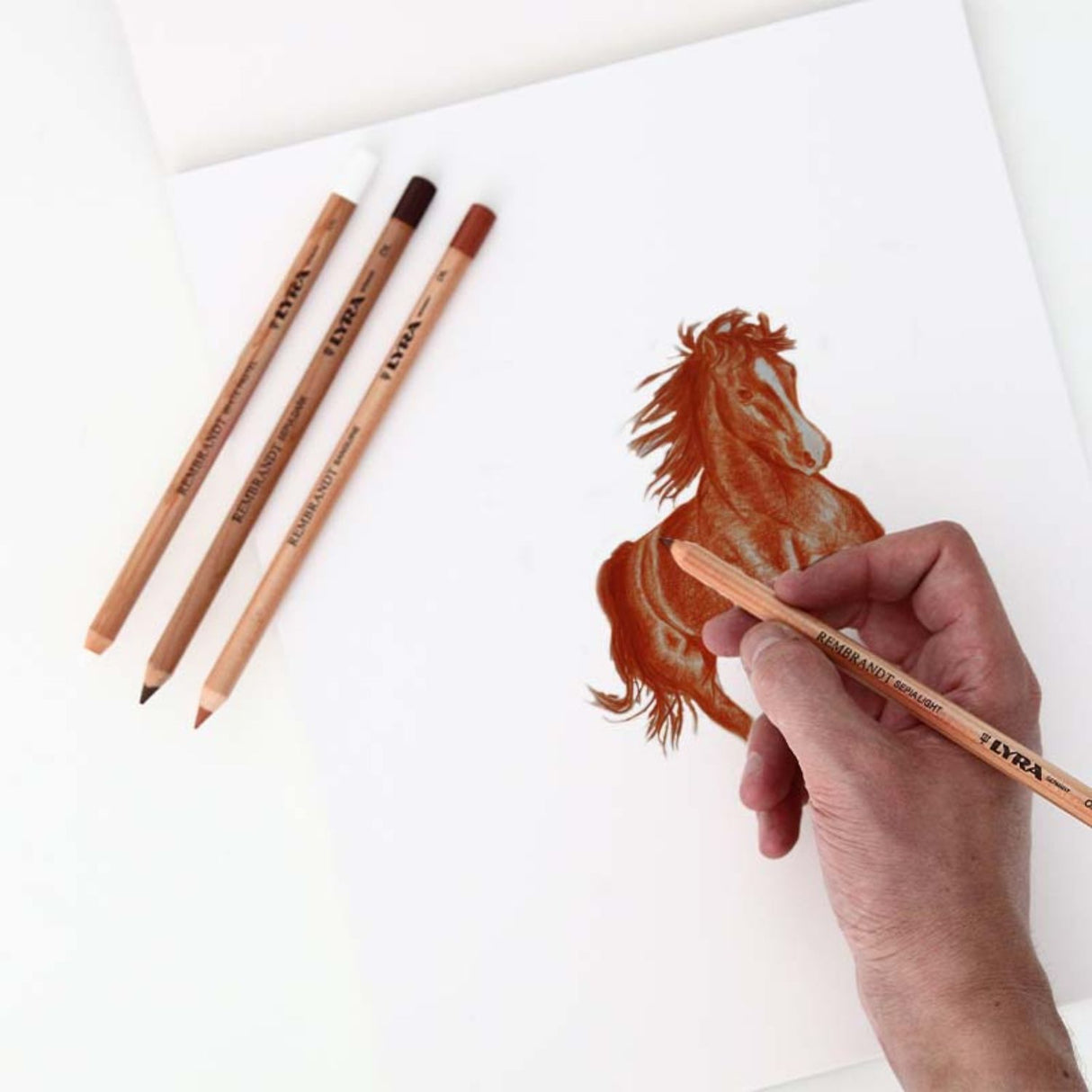 Lyra Rembrandt - Lápiz Pastel Sanguina