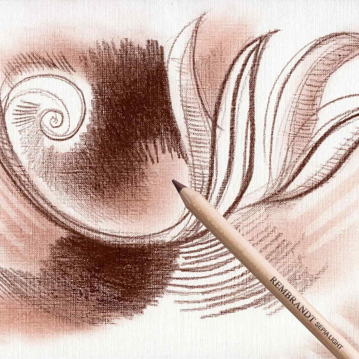 Lyra Rembrandt - Lápiz Pastel Sepia