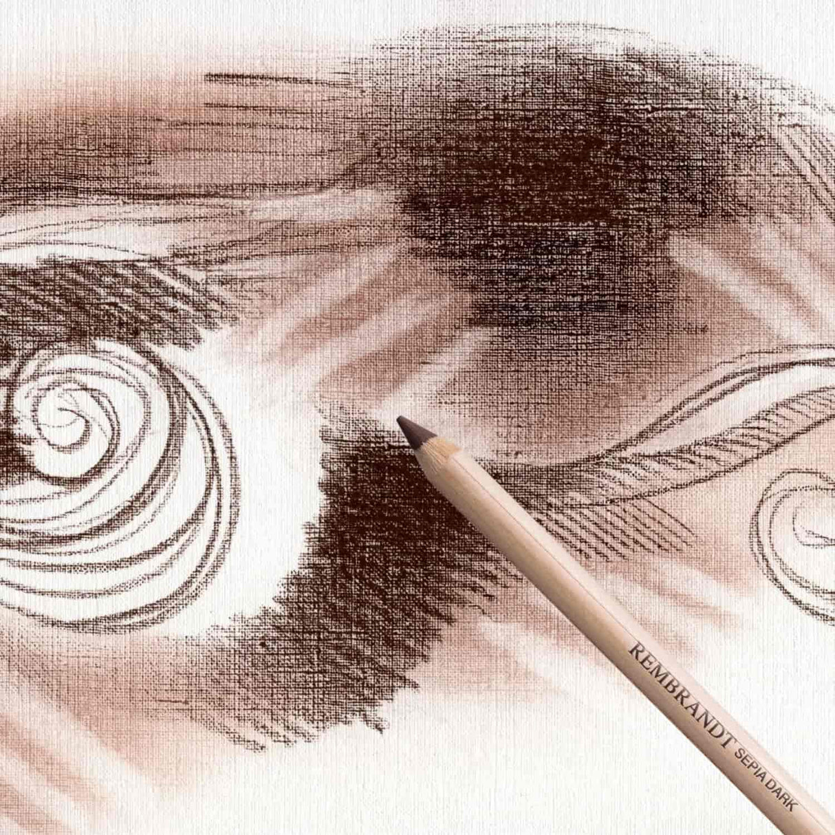 Lyra Rembrandt - Lápiz Pastel Sepia