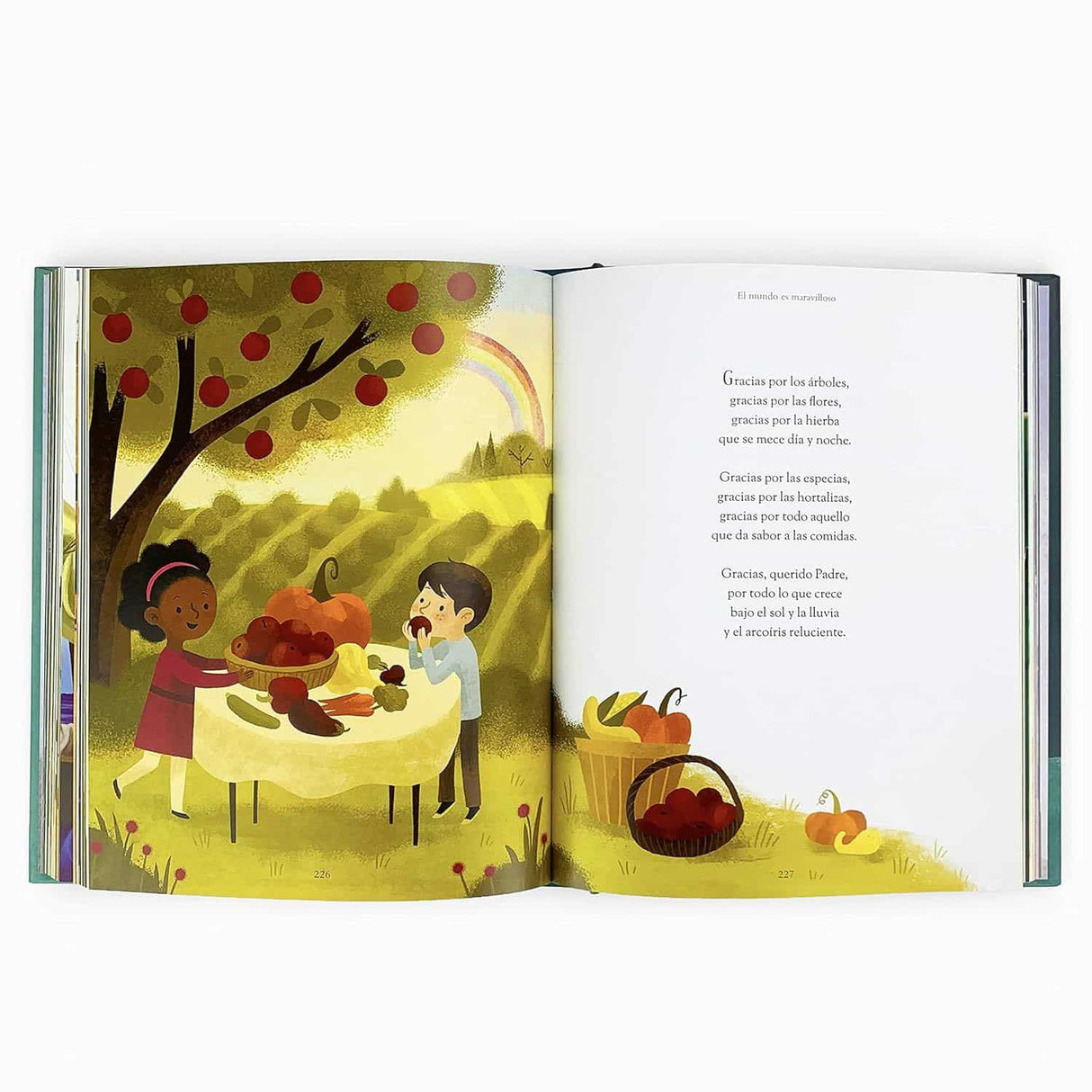 Mi Primera Biblia y mis Primeras Oraciones - Rachel Moss