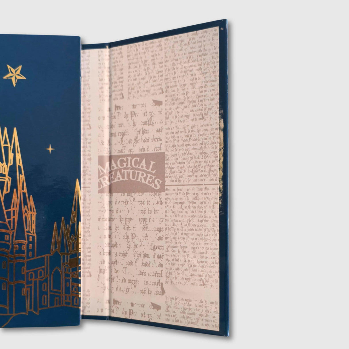 Mooving at Work - Planner Organizador Semanal Harry Potter