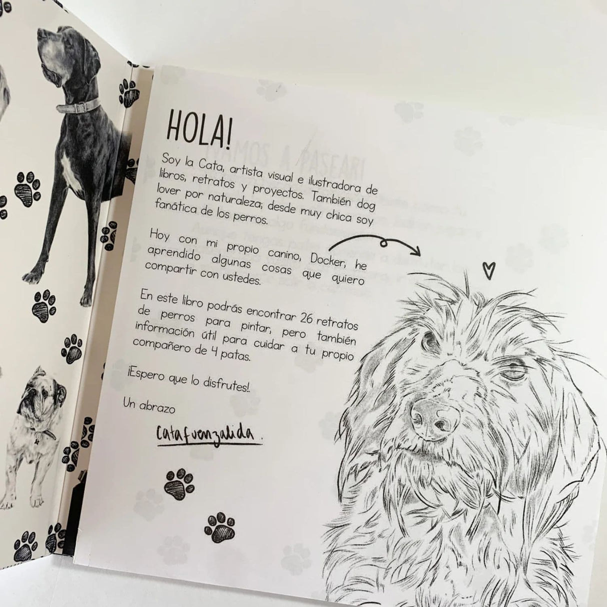 Perros - Cata Fuenzalida