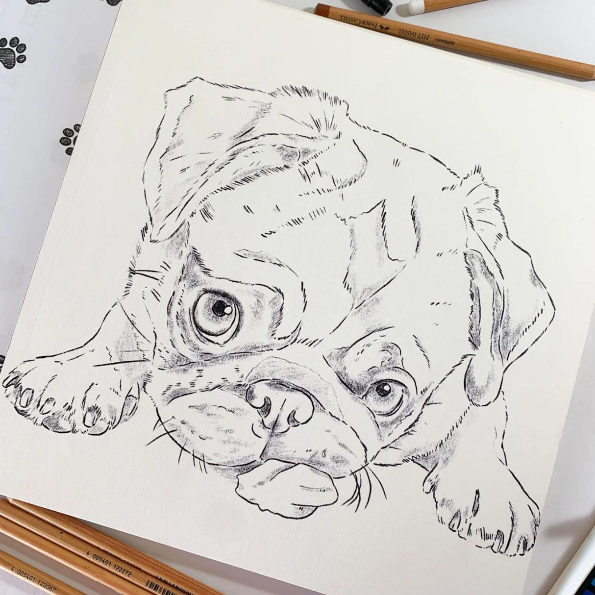 Perros - Cata Fuenzalida