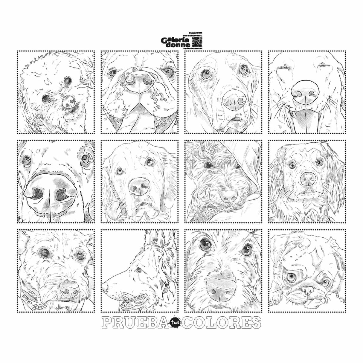 Perros - Cata Fuenzalida