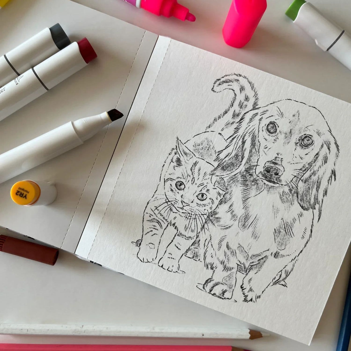 Perros y Gatos - Cata Fuenzalida