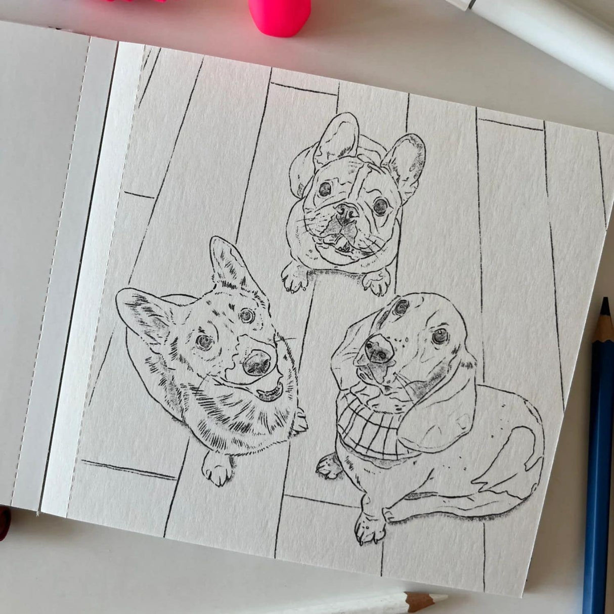 Perros y Gatos - Cata Fuenzalida