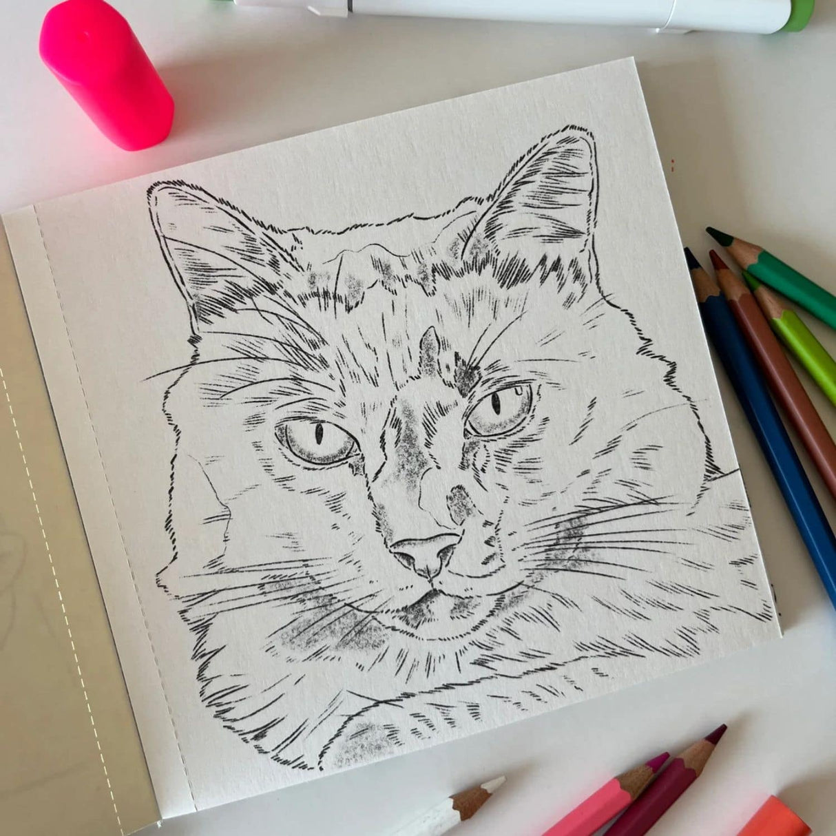 Perros y Gatos - Cata Fuenzalida