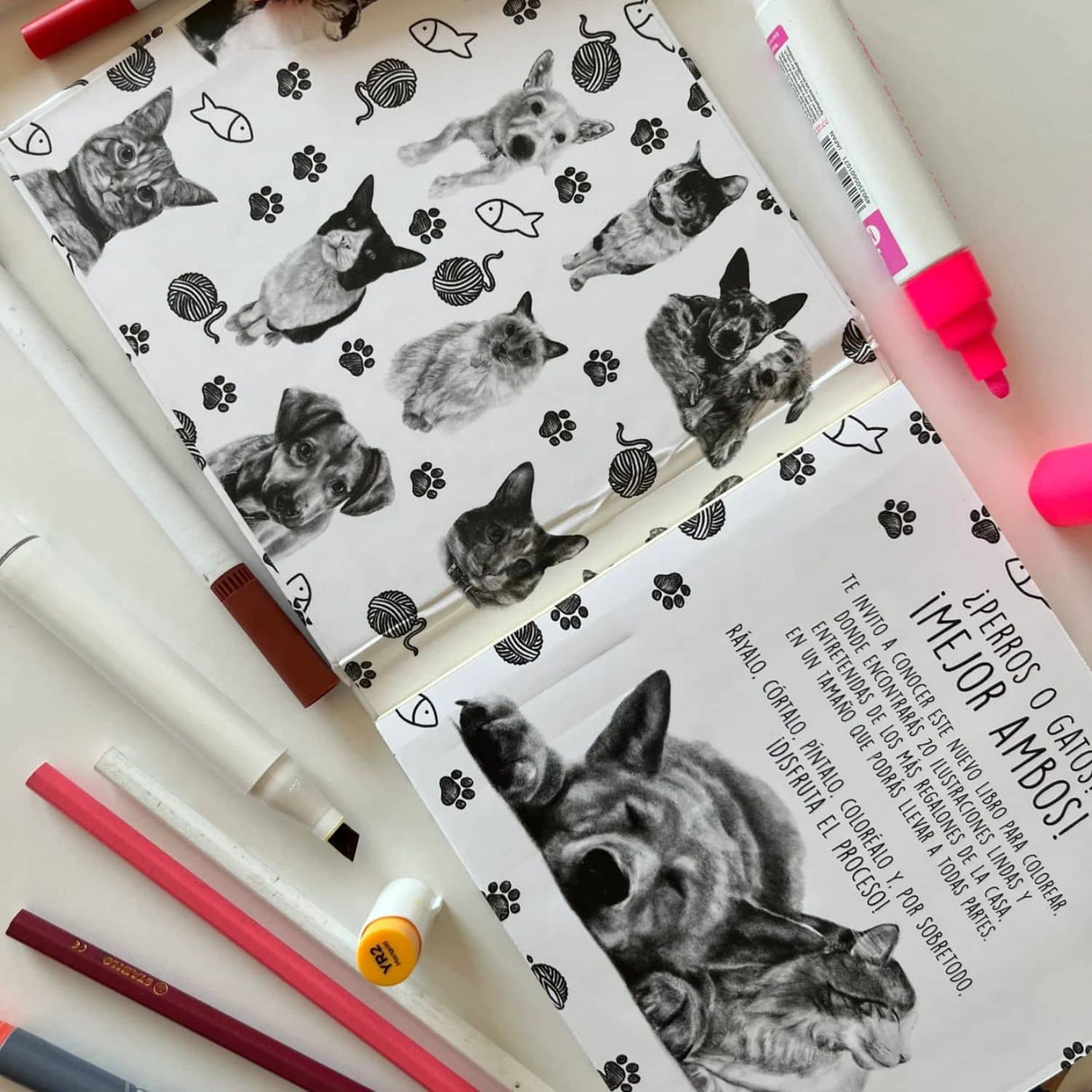 Perros y Gatos - Cata Fuenzalida