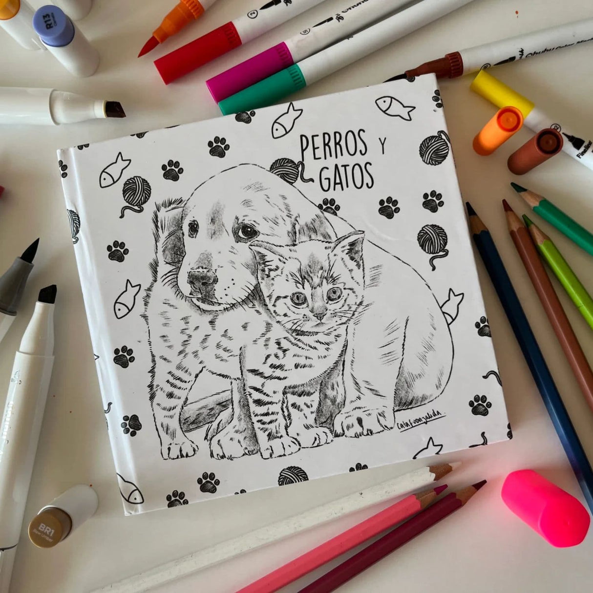 Perros y Gatos - Cata Fuenzalida