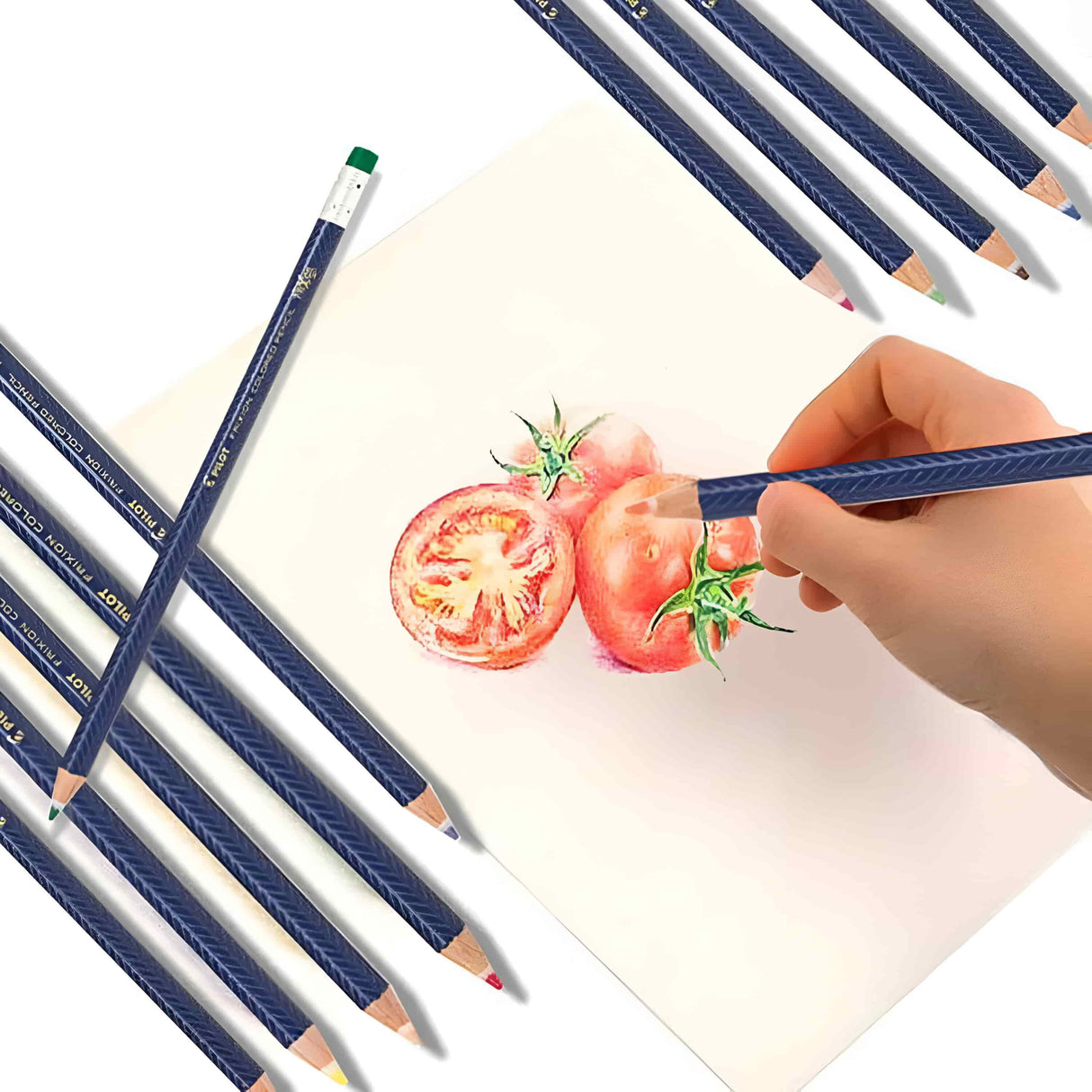 Pilot Fixion - Set 12 Lápices de Colores Borrables