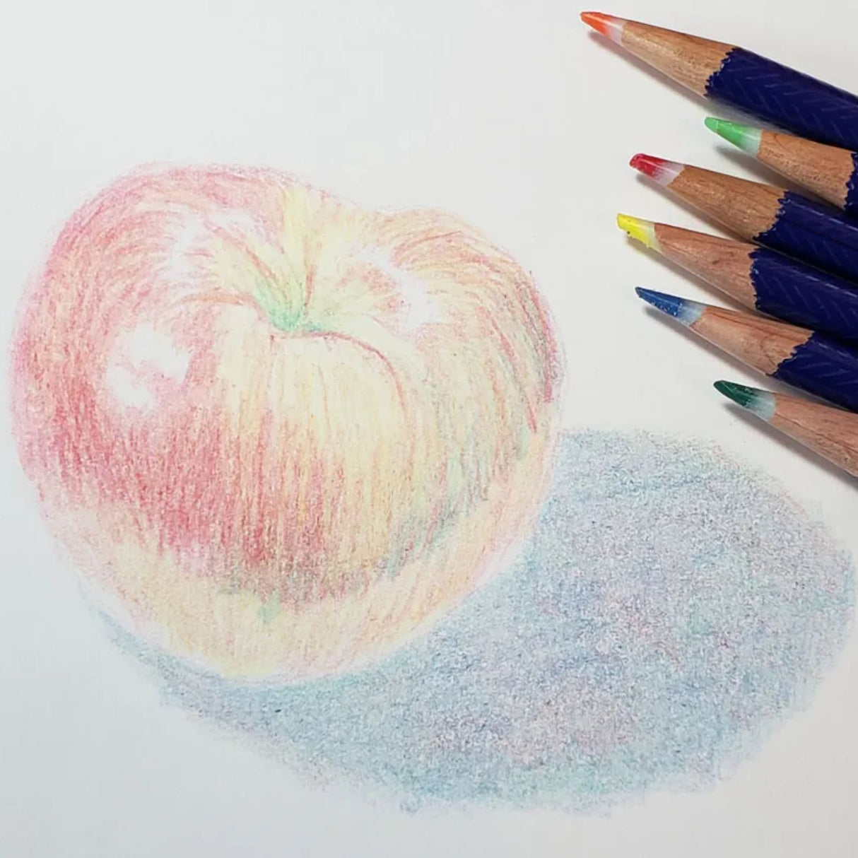 Pilot Fixion - Set 12 Lápices de Colores Borrables