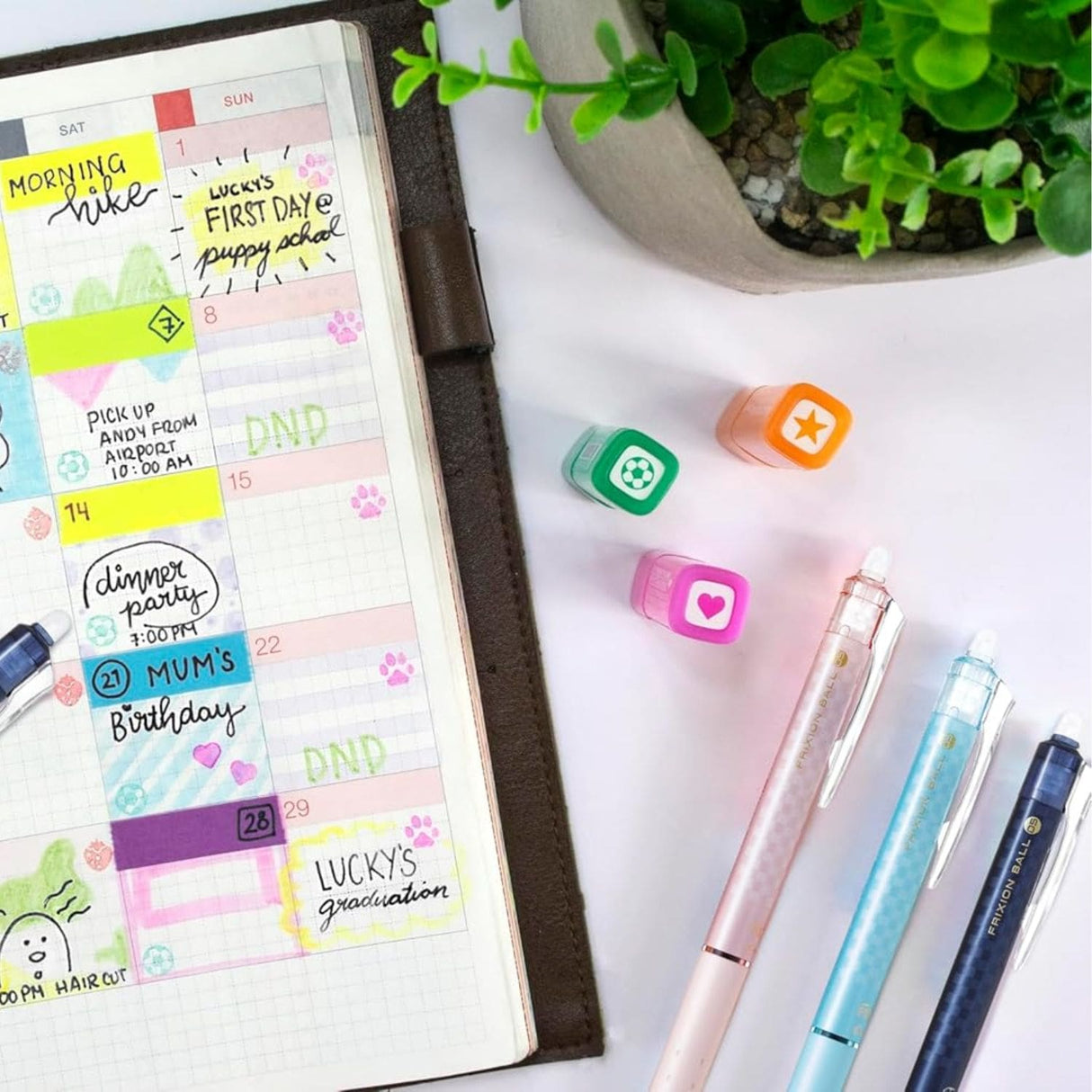 Pilot - Lápiz Gel Frixion Ball Knock Design Series Punta 05