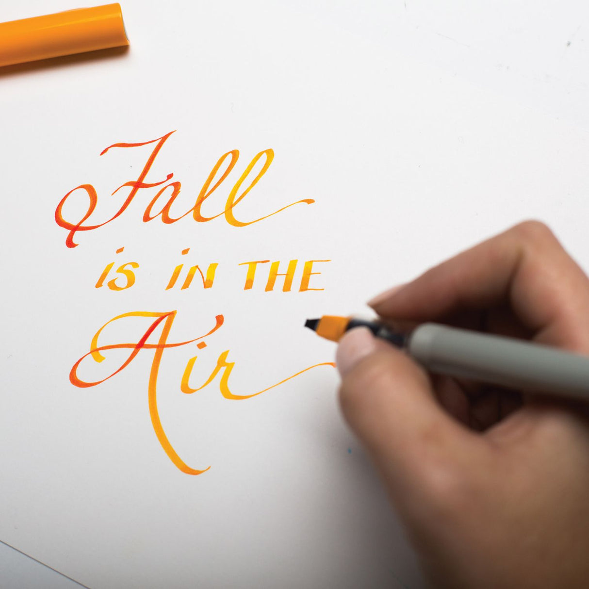 Pilot Parallel Pen - Pluma Caligráfica