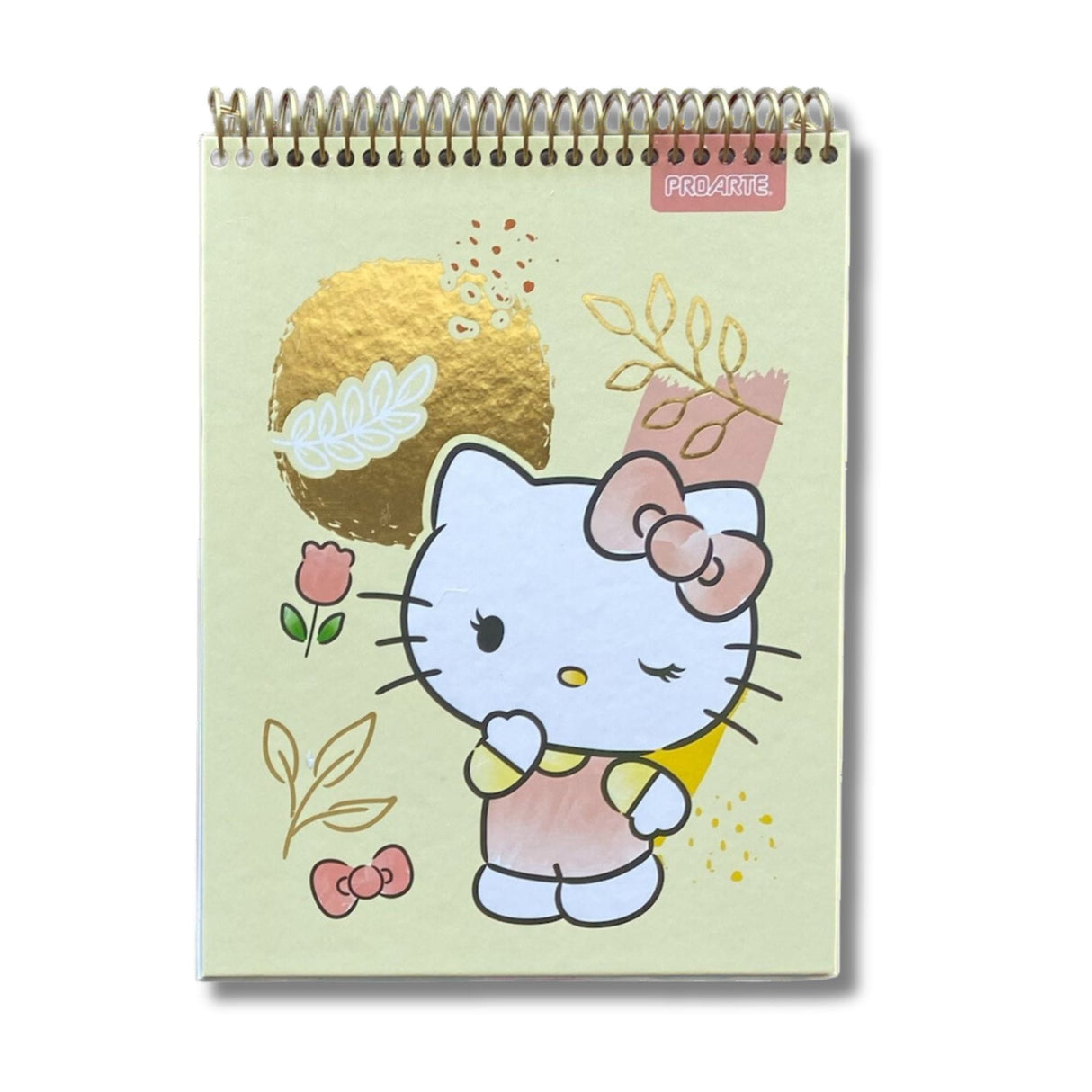 Proarte - Croquera Hello Kitty 80 h