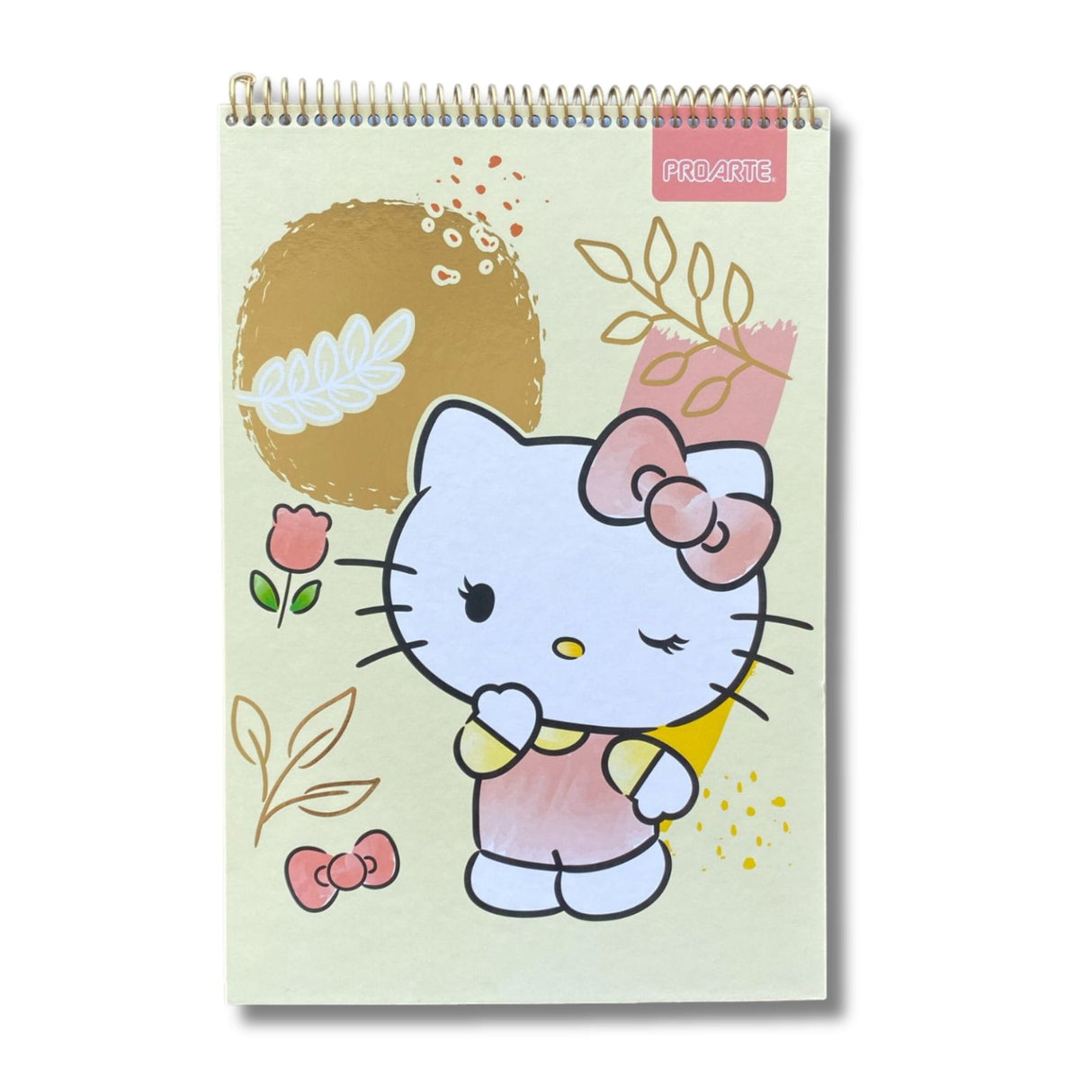 Proarte - Croquera Hello Kitty 80 h