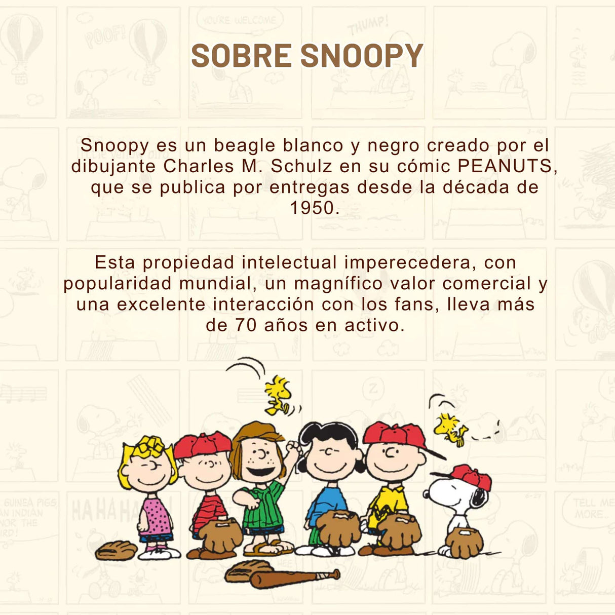 Puremind - Casa Miniatura Snoopy Holiday Beach Wooden Mini Scene