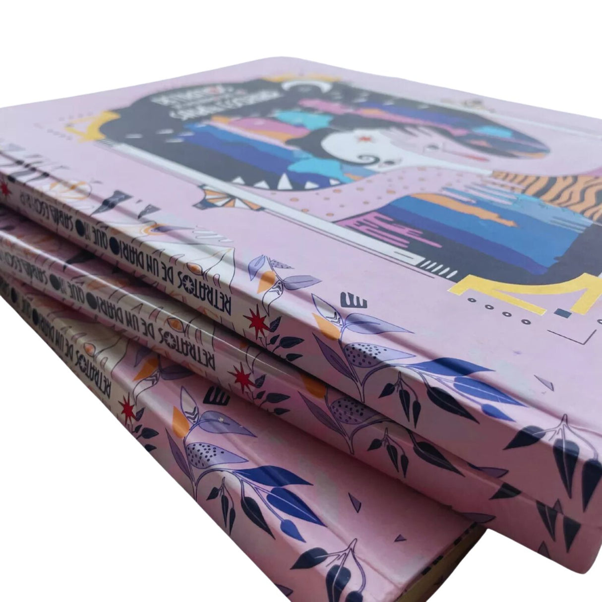 Retratos de un Diario que no Sabía Escribir - Josefina Montané