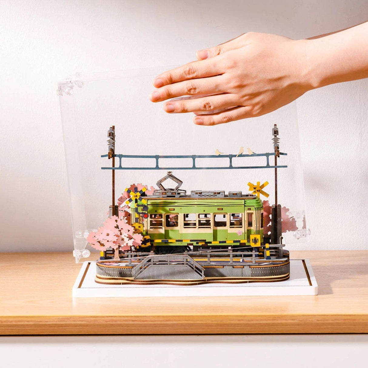 Rolife - Caja Exhibidora Creation Set Display Box para Miniaturas