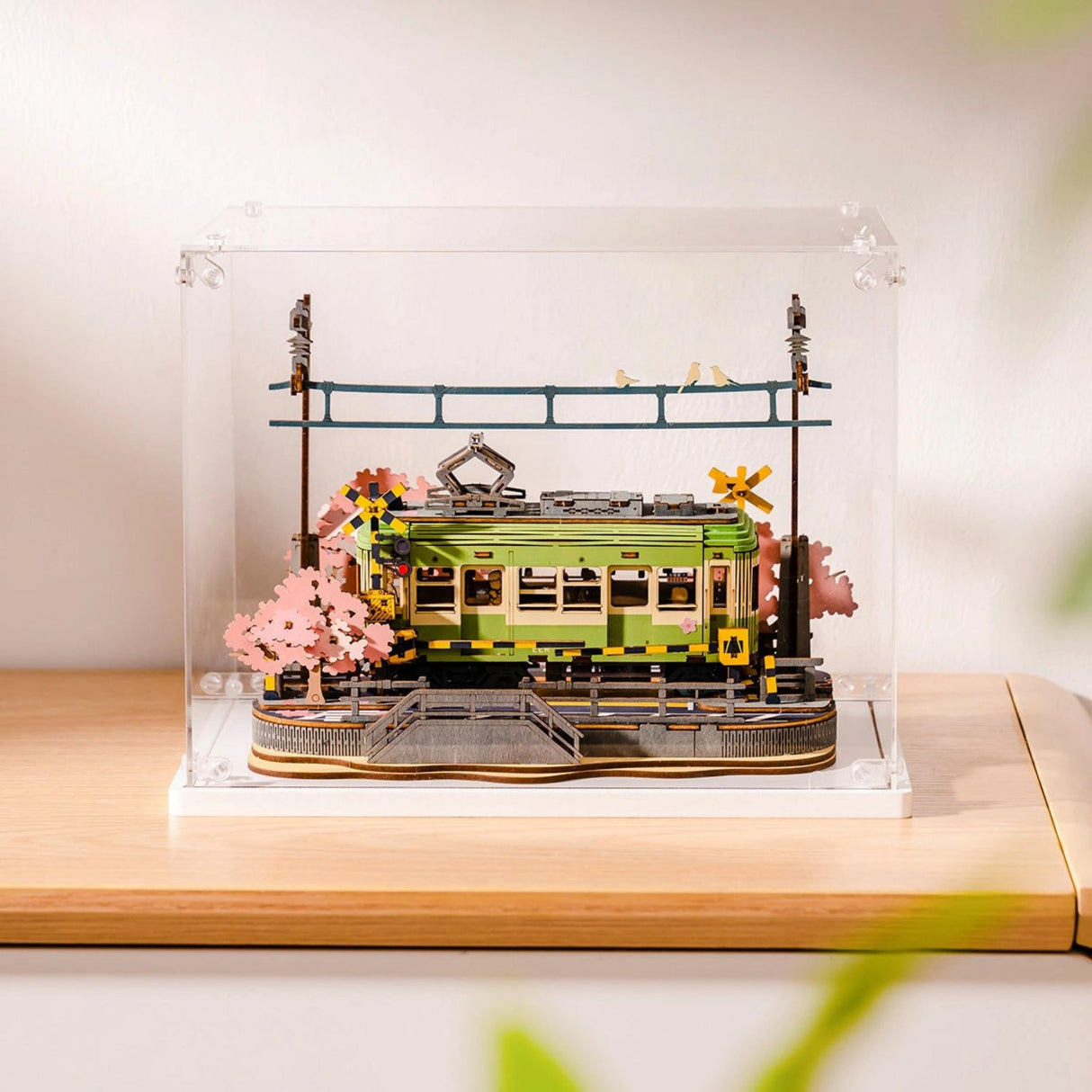 Rolife - Caja Exhibidora Creation Set Display Box para Miniaturas